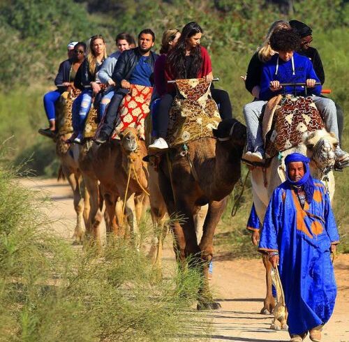 balade dromadaire agadir